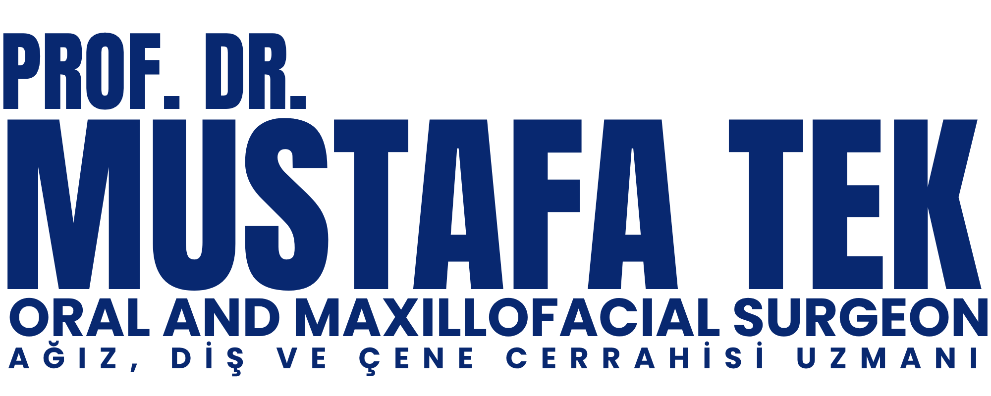 Prof. Dr. Mustafa TEK